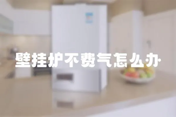 壁掛爐不費(fèi)氣怎么辦
