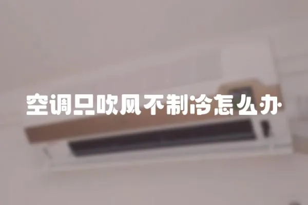 空调只吹风不制冷怎么办