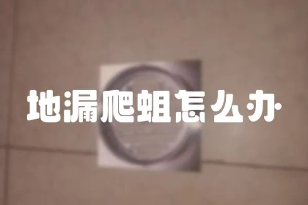地漏爬蛆怎么辦