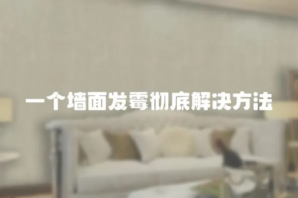 一個(gè)墻面發(fā)霉徹底解決方法