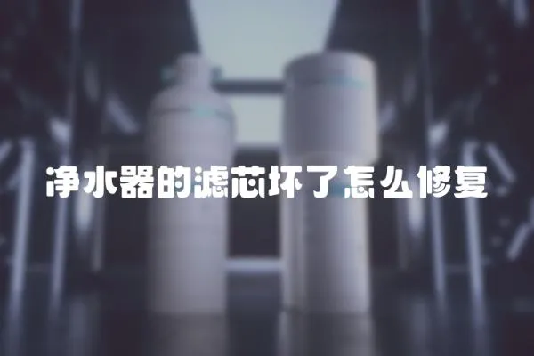 凈水器的濾芯壞了怎么修復
