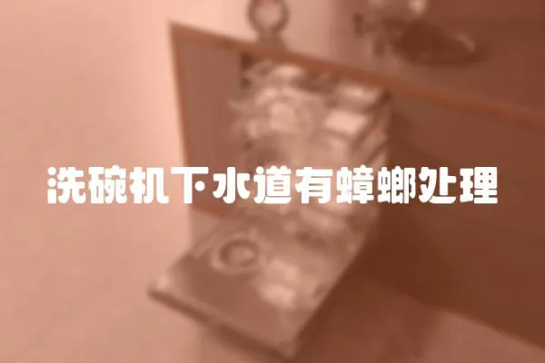 洗碗機下水道有蟑螂處理