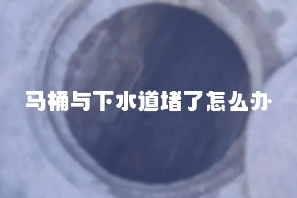 馬桶與下水道堵了怎么辦