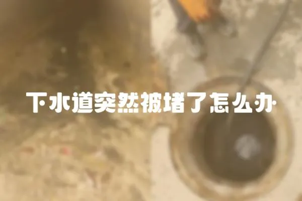 下水道突然被堵了怎么辦
