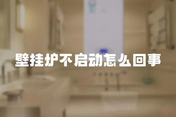 壁掛爐不啟動怎么回事