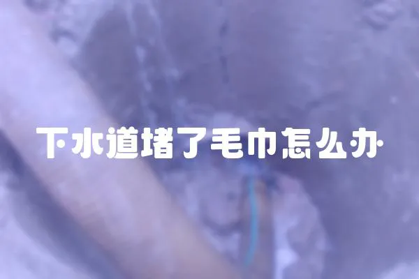 下水道堵了毛巾怎么辦