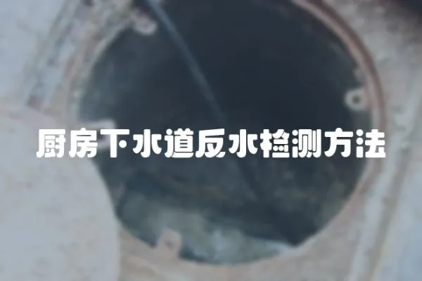 廚房下水道反水檢測方法