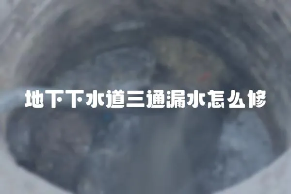 地下下水道三通漏水怎么修