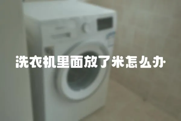 洗衣機(jī)里面放了米怎么辦