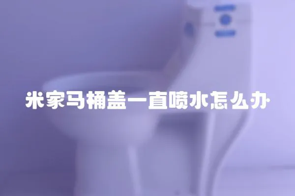 米家馬桶蓋一直噴水怎么辦