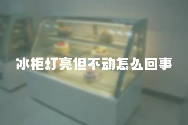 冰柜燈亮但不動怎么回事