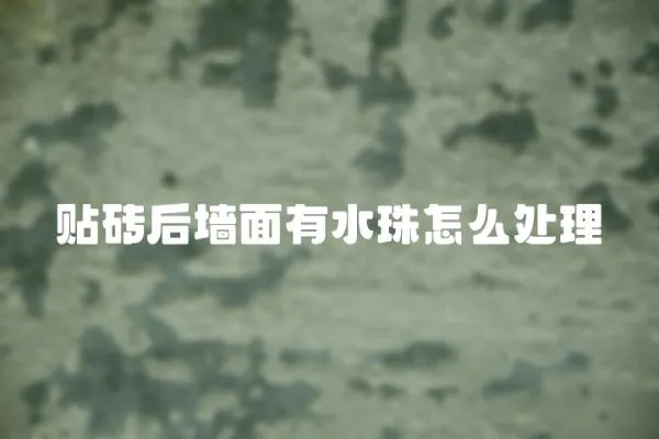 貼磚后墻面有水珠怎么處理