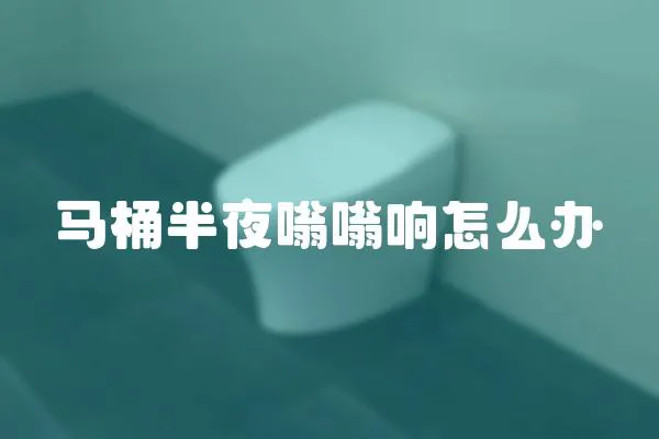 馬桶半夜嗡嗡響怎么辦