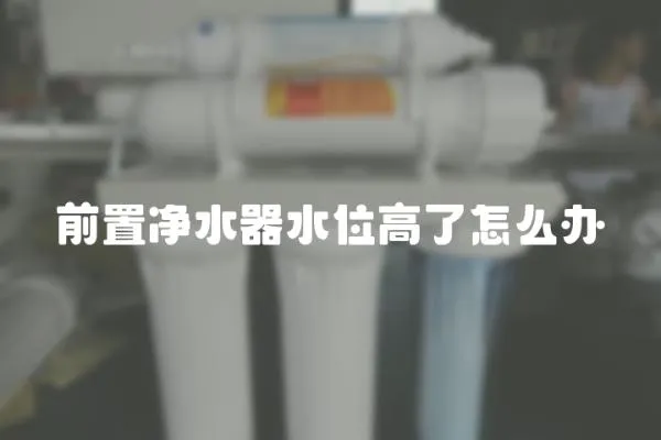 前置凈水器水位高了怎么辦