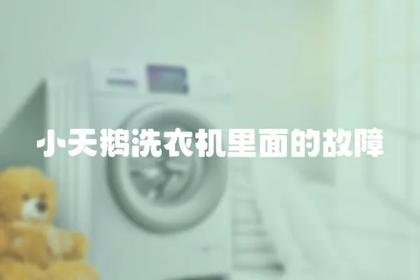 小天鵝洗衣機里面的故障