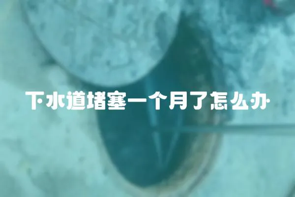 下水道堵塞一個月了怎么辦