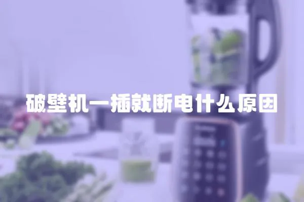 破壁機一插就斷電什么原因