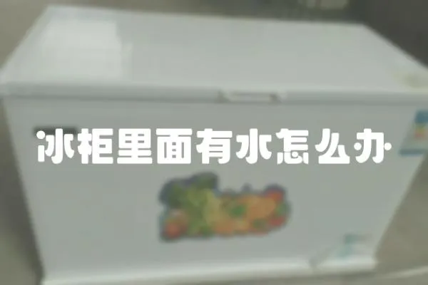 冰柜里面有水怎么辦