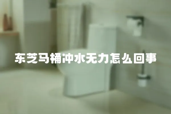 東芝馬桶沖水無力怎么回事