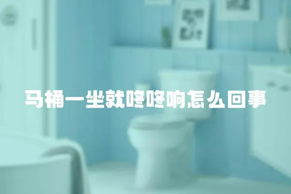 馬桶一坐就咚咚響怎么回事