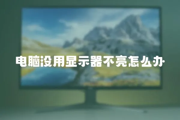 電腦沒用顯示器不亮怎么辦