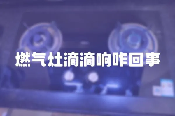 燃?xì)庠畹蔚雾懻厥?></a></div>
                    <div   id=