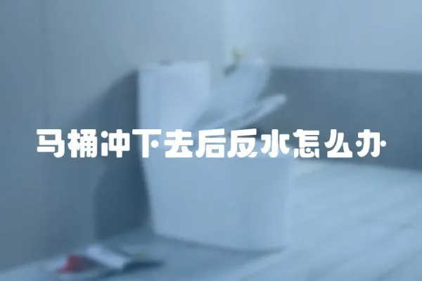 馬桶沖下去后反水怎么辦