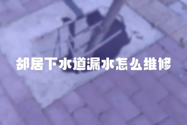 鄰居下水道漏水怎么維修