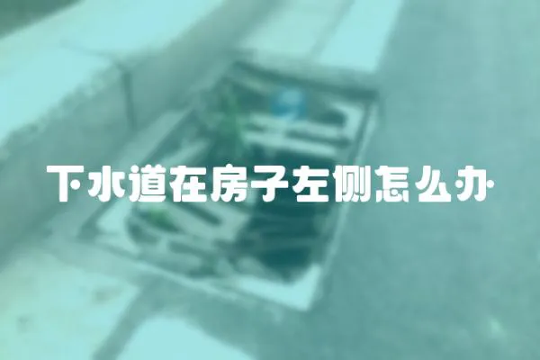 下水道在房子左側(cè)怎么辦