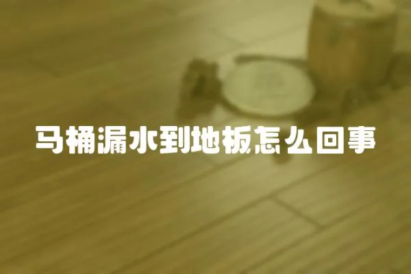 馬桶漏水到地板怎么回事