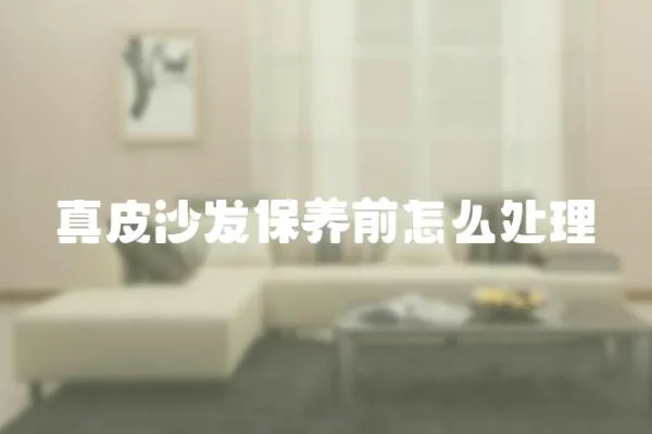 真皮沙發保養前怎么處理