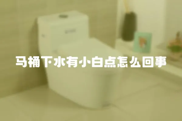馬桶下水有小白點怎么回事