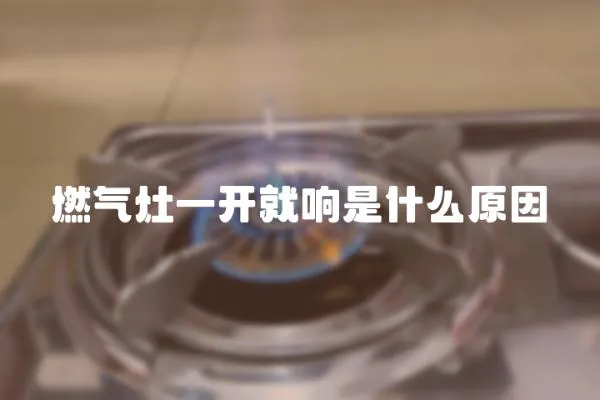 燃?xì)庠钜婚_就響是什么原因