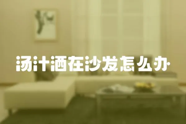 湯汁灑在沙發怎么辦