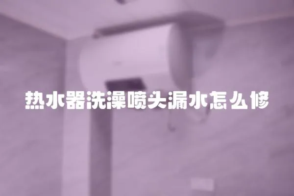 熱水器洗澡噴頭漏水怎么修
