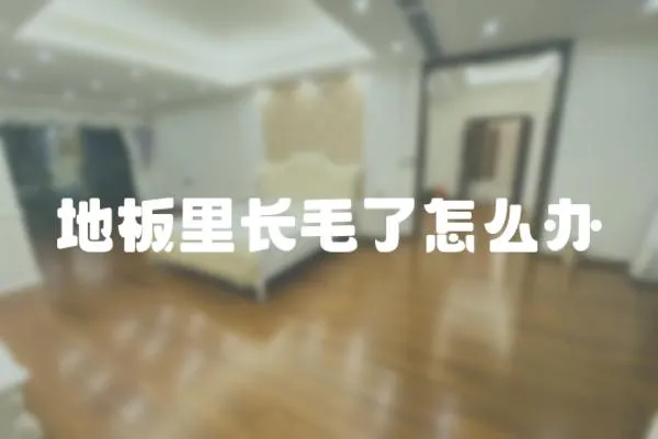 地板里長毛了怎么辦