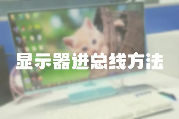 顯示器進總線方法