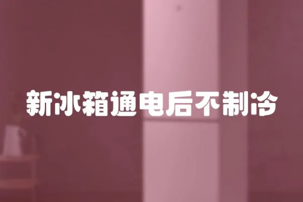 新冰箱通電后不制冷