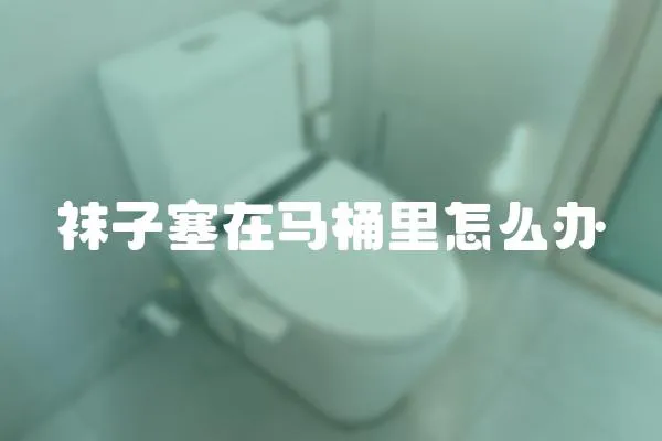 襪子塞在馬桶里怎么辦