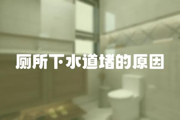 廁所下水道堵的原因