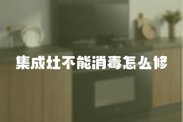 集成灶不能消毒怎么修
