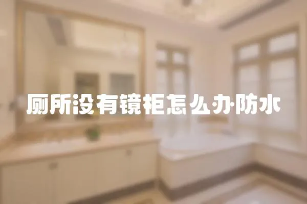 廁所沒有鏡柜怎么辦防水