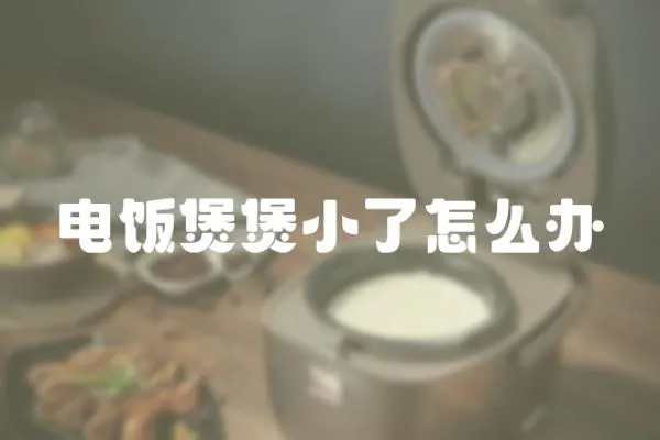 電飯煲煲小了怎么辦