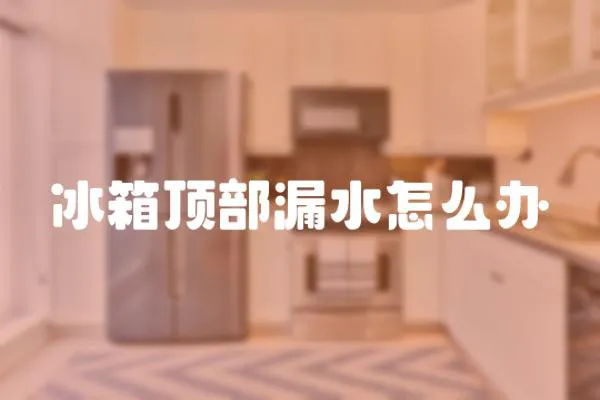 冰箱頂部漏水怎么辦