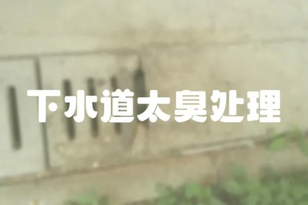 下水道太臭處理