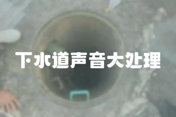 下水道聲音大處理