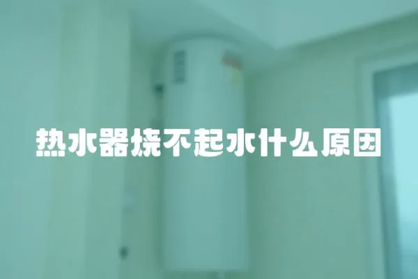 熱水器燒不起水什么原因