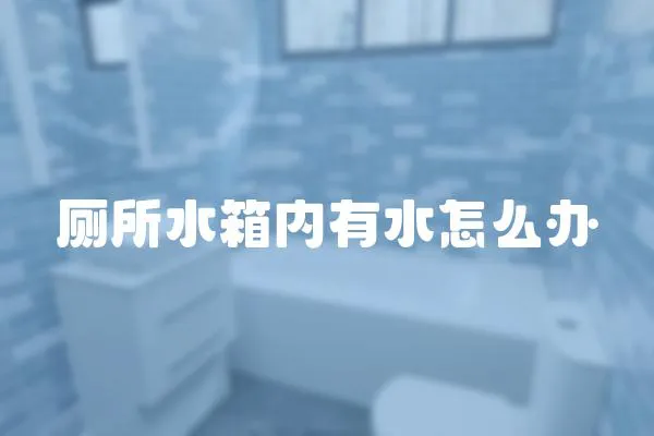 廁所水箱內有水怎么辦