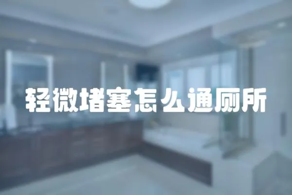 輕微堵塞怎么通廁所