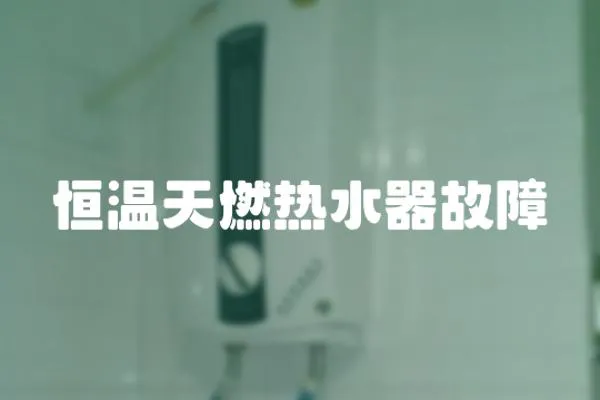 恒溫天燃熱水器故障